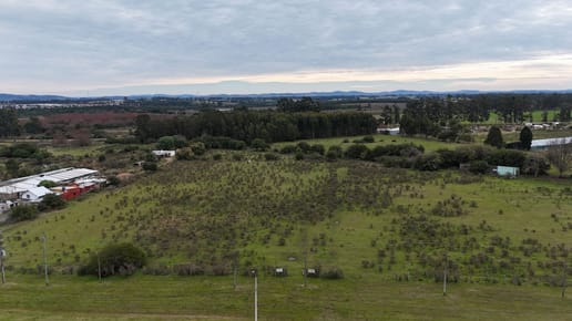 Terreno Logístico en San Carlos; Maldonado Uruguay