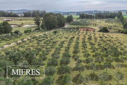 Chacra con casa en venta 5dorm en exclusividad ref 6786