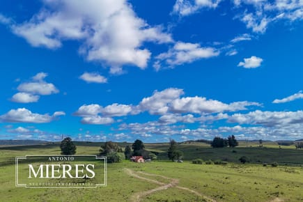 Campo en venta de 57 ha en Paso Dutra Maldonado Uruguay.