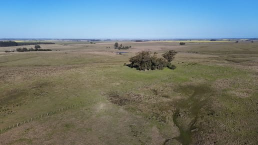 campo de 40ha entre Garzon y Jose Ignacio