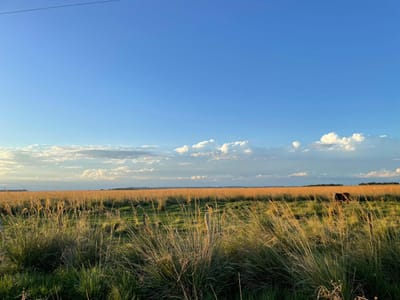  Gran Estancia en Venta – Misiones, Paraguay ????