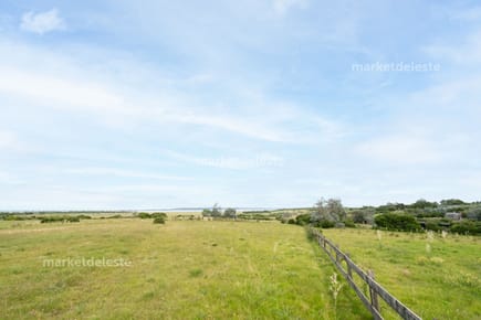 CHACRA JOSE IGNACIO - 1 HA