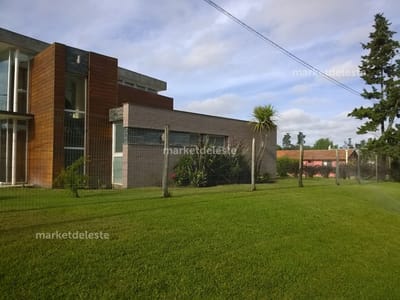 PUNTA BALLENA
