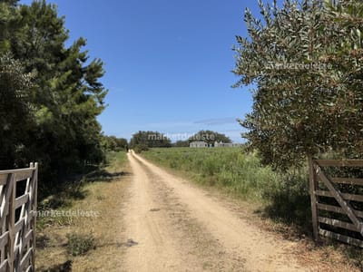 OPORTUNIDAD - LOTE JOSÉ IGNACIO