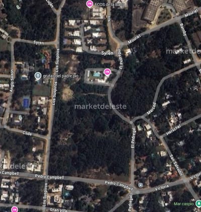 EXCELENTE TERRENO EN MONTOYA