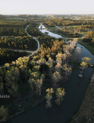 TERRENO EN PUERTO QUETZAL EN VENTA