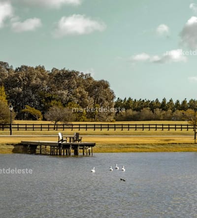 FASANO PUNTA DEL ESTE - EN VENTA LOTE
