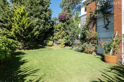 Apartamento en Venta 3 Dormitorios - Patio y Prrillero de uso exclusivo - Punta del Este - Playa Mansa