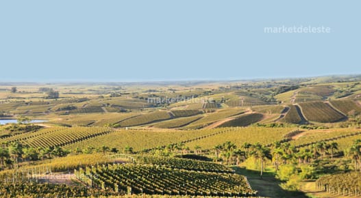 CHACRA EN LA TOSCANA DE GARZON - N° 13