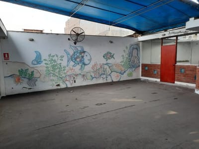 CASA COMO TERRENO
