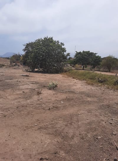 SE VENDE TERRENO PARA CASA DE CAMPO EN PACHACAMAC