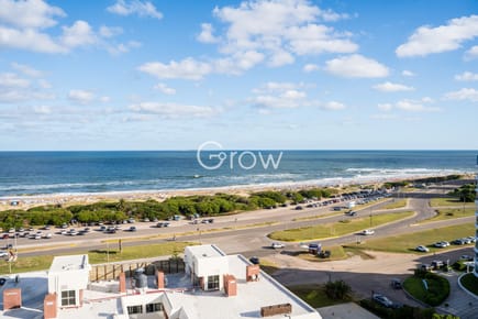 Planta amplia de playa brava