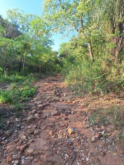 Vendo unico terreno con vista al Lago en Ciervo cua San Bernardino