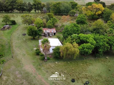 VENTA | Chacra 6 Has  con 2 casas 4 galpones Aguadas y monte de eucalipto  en Estación Migues Canelones