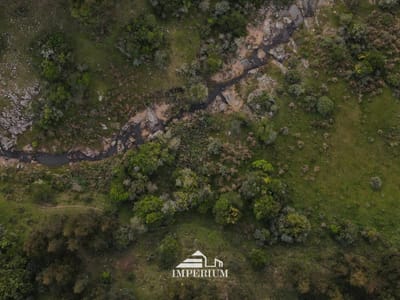 VENTA | Campo forestal en Rivera, 768 Hás