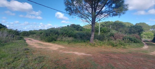 Terreno habilitado para construcción en San Antonio