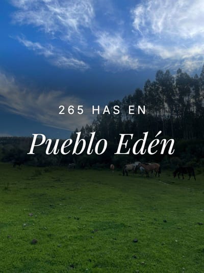 Venta 265  Hectareas Pueblo Eden
