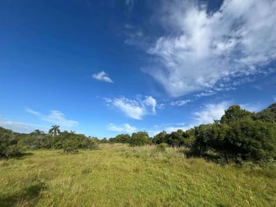 Campo en Rocha