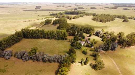 Campo en venta Rocha
