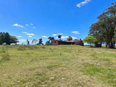 Campo agrícola ganadero CONEAT 135