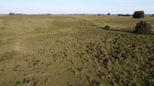 VENTA | Campo en CORTE DE LA LEÑA con 66 ha, ideal para proyecto ganadero, con costa al arroyo, buen acceso , cerca de San Carlos.