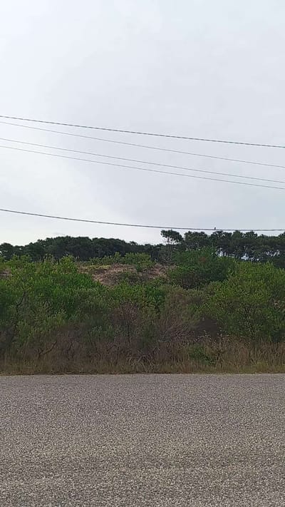 VENDO | Terreno Alto a 2 cuadras y media de la Playa Chiguagua hermosas vistas