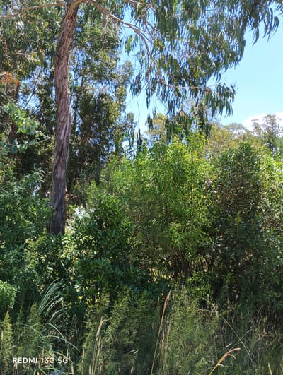 VENTA | Terreno de 1230 m  con cañadita proximo al mar  con Agua y Luz
