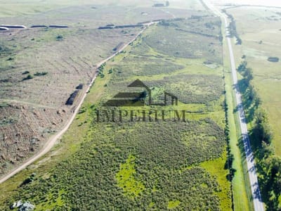 Campo 46 hectáreas sobre ruta 8 Mariscala