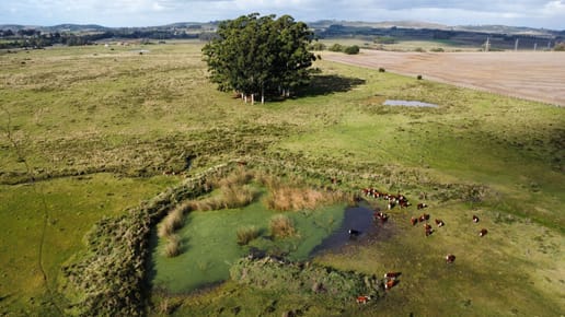 Campo 30 hectáreas  sobre ruta 9,  alta productividad