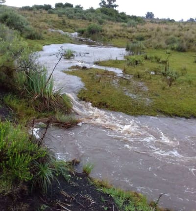 Venta campo 221ha en Sierras del Yerbal (Treinta y Tres)