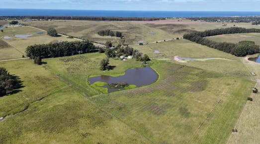 VENTA | Chacra de 8 hectáreas en José Ignacio