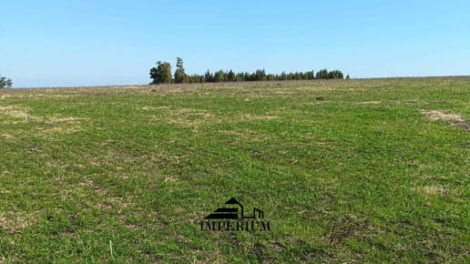 VENTA | Campo 157 HAS EN LAVALLEJA