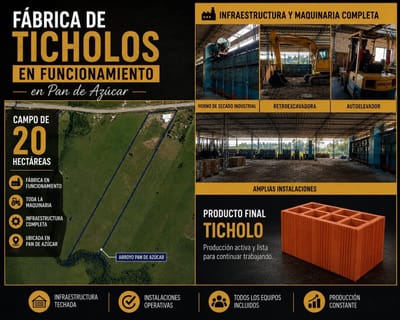 VENTA | Campo 19 hectáreas 7900m2 en Ruta 9