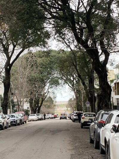 Alquiler Apartamento 2 dormitorios en Punta Carretas