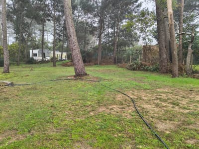 Venta - Terreno - Chihuahua