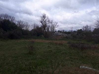 Venta Campo 4437 m² Piedras Blancas