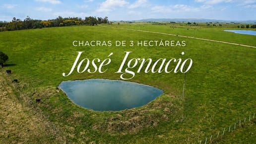 CHACRAS DE 3 HECTÁREAS EN JOSÉ IGNACIO