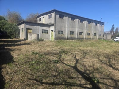 Alquiler Depósito 750 m² Empalme Olmos