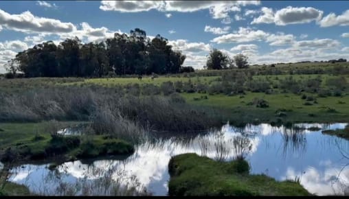 Venta Campo 35 hectáreas Solís de Mataojo