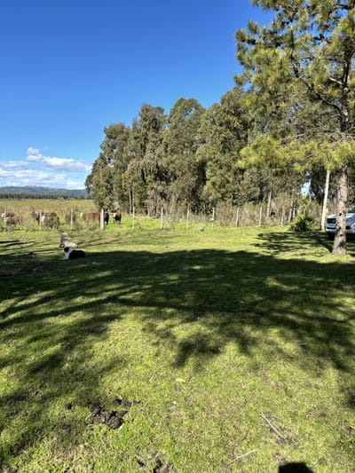 Venta Campo 35 hectáreas Solís de Mataojo