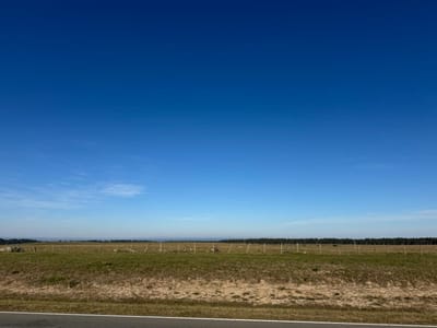 Venta Chacra 7 hectáreas San Antonio, Rocha.