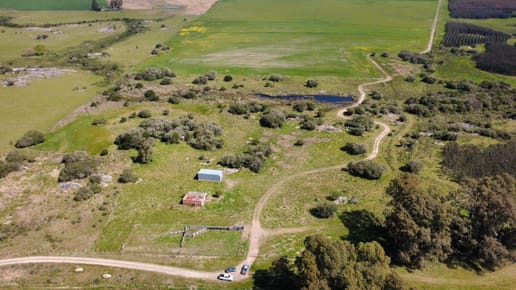 Campo en venta en Miguelete Colonia 278 hectáreas CONEAT 157