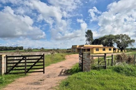 Venta Chacra 1 hectárea Paso De Pache