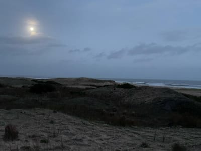 Venta Terreno 960 m² Oceanía Del Polonio