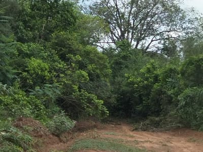 PROPIEDAD RURAL EN NUEVA COLOMBIA, COMPAÑIA INGLES CUE