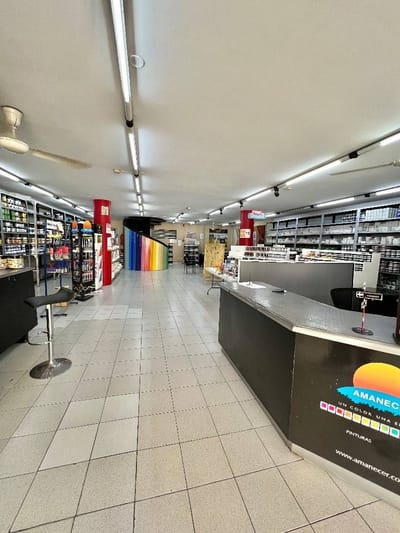 EN VENTA AMPLIA PROPIEDAD EN EL CENTRO DE ASUNCIÓN