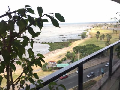 Apartamento 4 dormitorios, parrillero, garage por dos, amenities, en Punta Carretas.