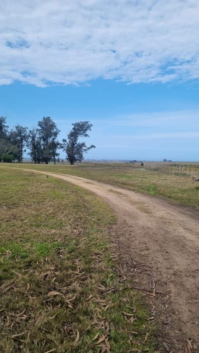 (BPV-BPV-10038)  Venta de campo en Maldonado - 35has coneat 134