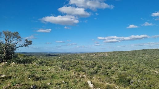 (BPV-BPV-10145)  Campo en venta en AIGUA