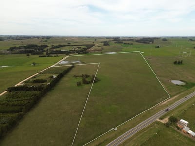 (BPV-BPV-10161)  Chacra en venta en Ruta 104  23.5 hectáreas financiado